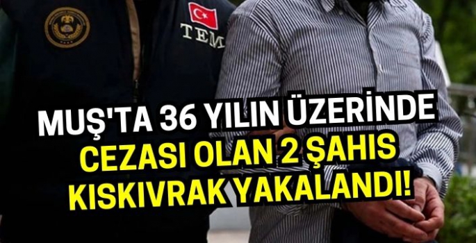 Muş'ta 36 yılın üzerinde cezası olan 2 şahıs kıskıvrak yakalandı!