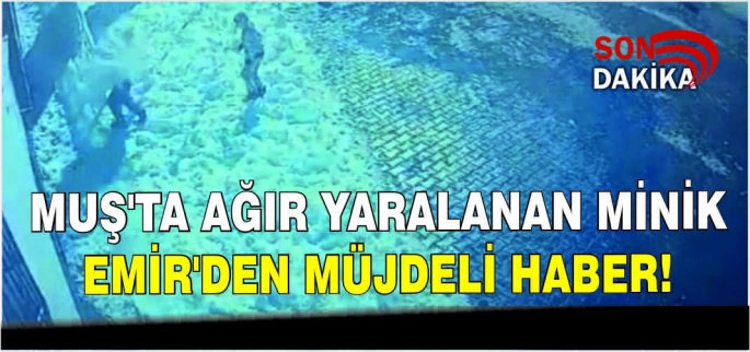 Muş’ta ağır yaralanan minik Emir’den müjdeli haber!