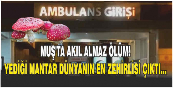 Muş’ta akıl almaz ölüm! Yediği mantar dünyanın en zehirlisi çıktı...