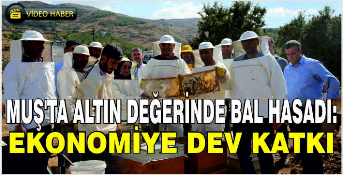 Muş'ta altın değerinde bal hasadı: Ekonomiye dev katkı