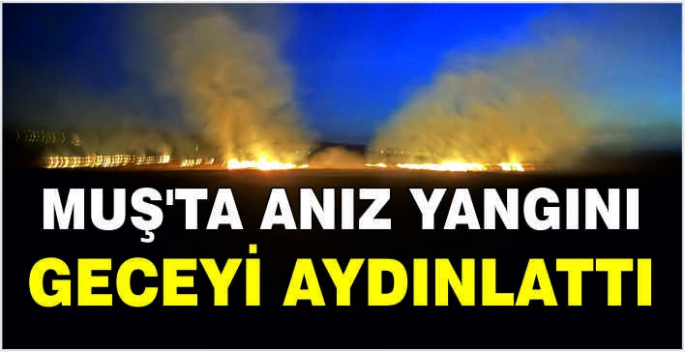 Muş’ta anız yangını geceyi aydınlattı