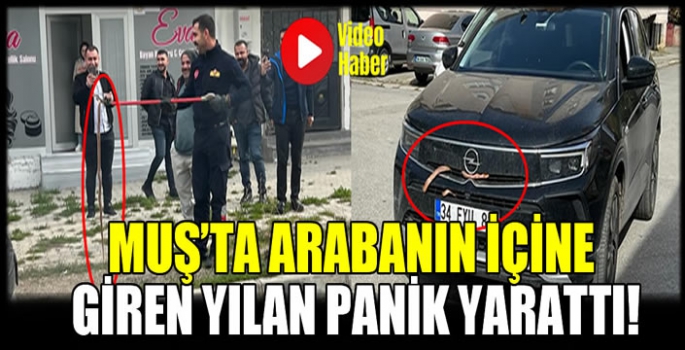 Muş’ta arabanın içine giren yılan panik yarattı!