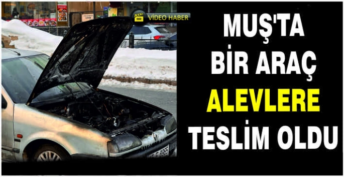 Muş’ta bir araç alevlere teslim oldu