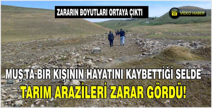 Muş'ta bir kişinin hayatını kaybettiği selde tarım arazileri zarar gördü! Zararın boyutları ortaya çıktı