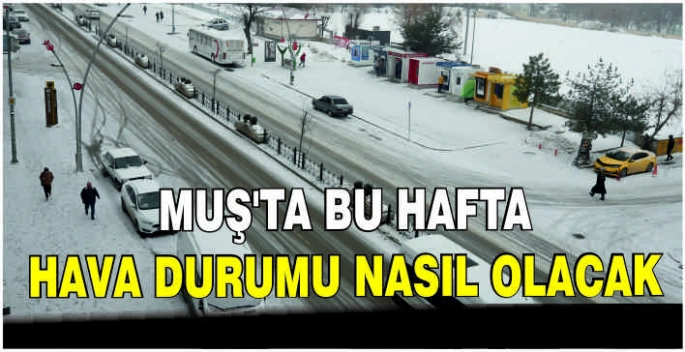 Muş'ta bu hafta hava durumu nasıl olacak