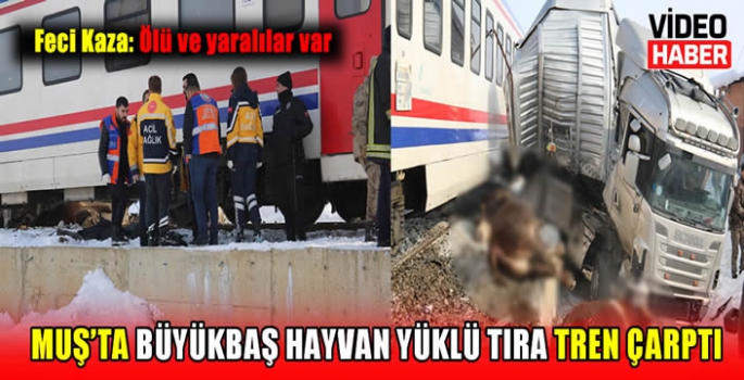 Muş’ta büyükbaş hayvan yüklü tıra tren çarptı