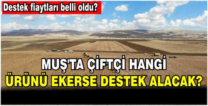 Muş’ta çiftçi hangi ürünü ekerse destek alacak?