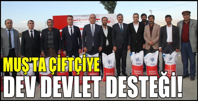 Muş'ta çiftçiye dev devlet desteği!  595 ton buğday tohumu dağıtıldı…