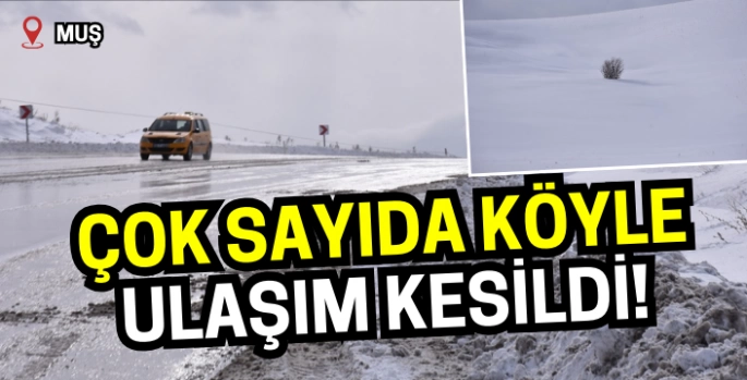 Muş'ta çok sayıda köyle ulaşım kesildi!