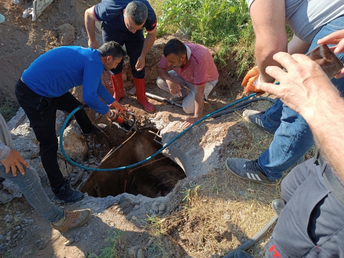 Muş'ta çukura düşen İnek bakın nasıl kurtarıldı? 