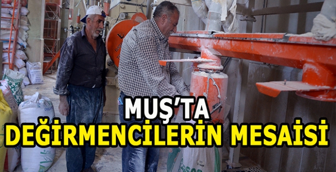 Muş'ta değirmencilerin mesaisi sürüyor: Kış hazırlıkları devam ediyor