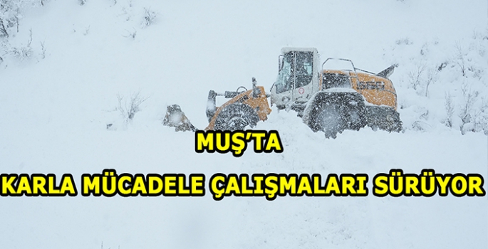 Muş'ta ekipler karla mücadele çalışmalarını sürdürüyor