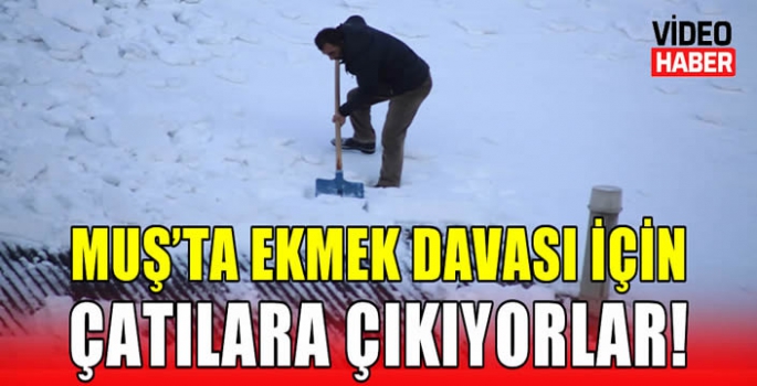 Muş’ta ekmek davası için çatılara çıkıyorlar! 