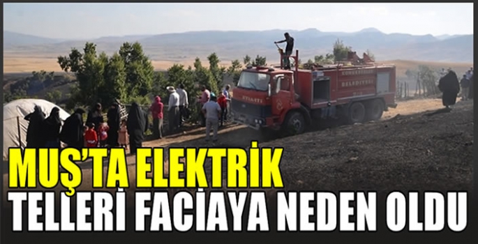 Muş’ta elektrik tellerinin genleşmesi sonucu çıkan yangında 1 kişi yaralandı