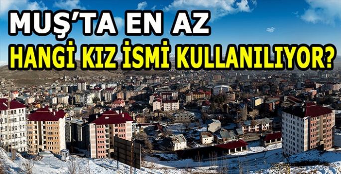 Muş’ta en az tercih edilen kız ismi belli oldu: Muş’un tercihi çoğu ilden farklı oldu!