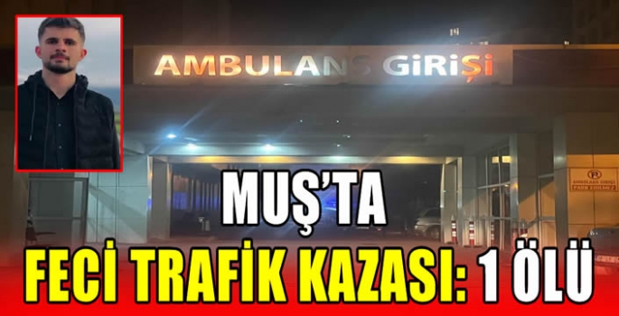 Muş’ta feci trafik kazası: 1 ölü