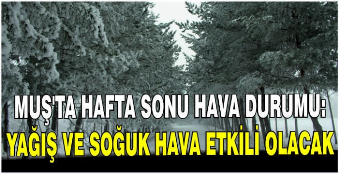 Muş'ta hafta sonu hava durumu: Yağış ve soğuk hava etkili olacak