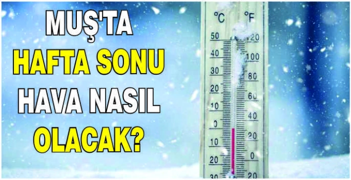 Muş'ta hafta sonu hava nasıl olacak?