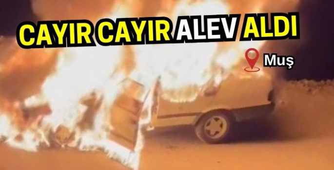 Muş’ta her gün bir araba yanıyor! Cayır cayır alev aldı