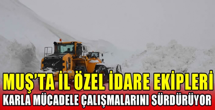 Muş'ta İl Özel idare ekipleri karla mücadele çalışmalarını sürdürüyor