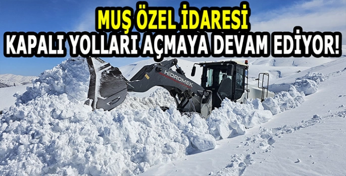 Muş'ta İl Özel İdaresi aralıksız çalışıyor: Kapalı yollar tek tek açılıyor!