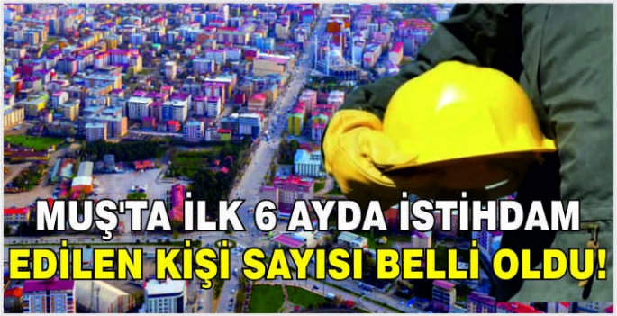 Muş'ta ilk 6 ayda istihdam edilen kişi sayısı belli oldu!