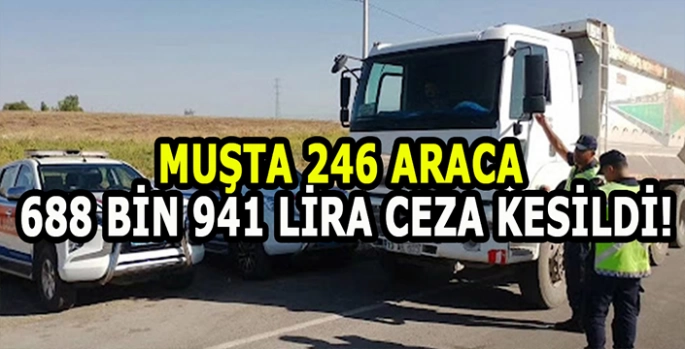 Muş’ta Jandarma ekiplerinden başarı dolu bir çalışma: 246 araca 688 bin 941 lira ceza kesildi!