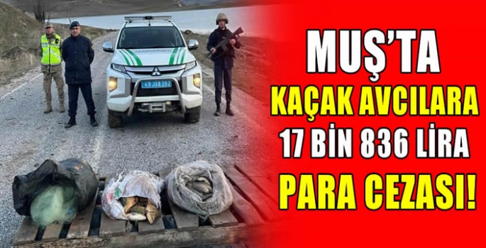 Muş’ta kaçak avcılara 17 bin 836 lira para cezası!