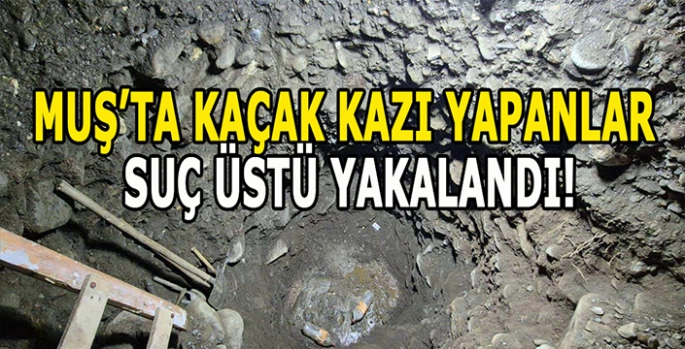 Muş'ta kaçak kazıya suçüstü: Kaçak kazı yapanlar yakalandı!