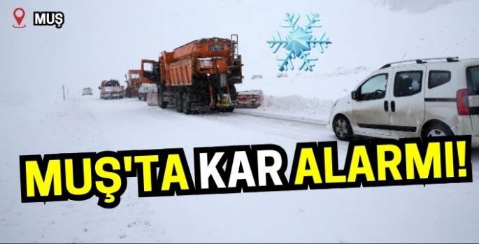 Muş'ta kar alarmı: 10 araçta 50 kişi mağdur oldu!