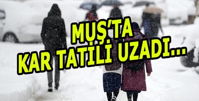 Muş’ta kar tatili uzadı: Cuma günü okullar tatil edildi!