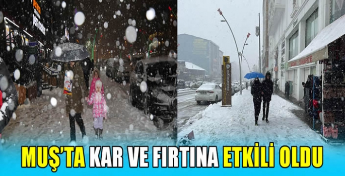 Muş’ta kar ve fırtına etkili oldu