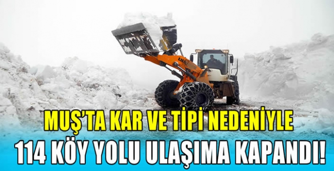 Muş'ta kar ve tipi nedeniyle 114 köy yolu ulaşıma kapandı!