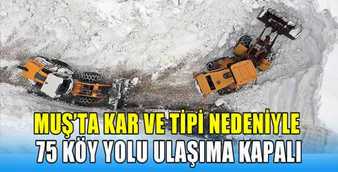 Muş'ta kar ve tipi nedeniyle 75 köy yolu ulaşıma kapalı 