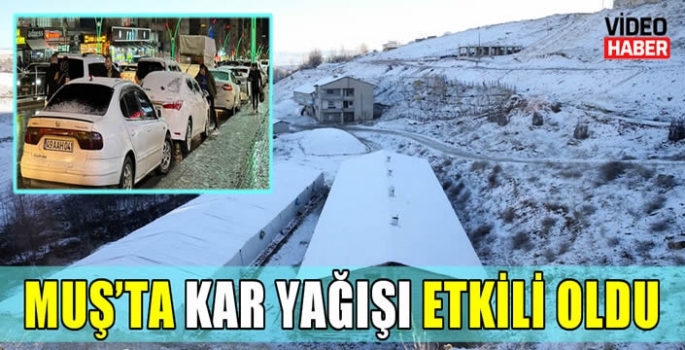 Muş'ta kar yağışı etkili oldu