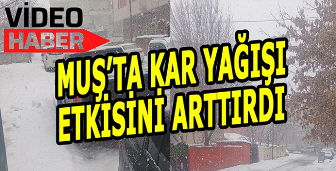 Muş’ta kar yağışı etkisini arttırdı: Şehir beyaza büründü