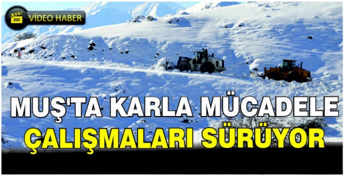 Muş'ta karla mücadele çalışmaları sürüyor