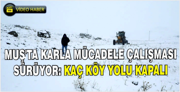 Muş'ta karla mücadele çalışması sürüyor: Kaç köy yolu kapalı