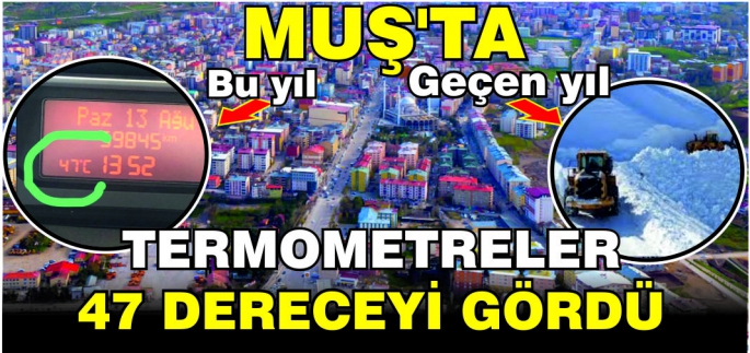 Muş’ta kavurucu sıcaklar baş belası oldu! Muş’ta Termometreler 47 dereceyi gördü! 