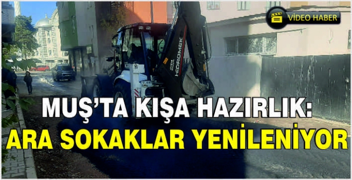 Muş’ta kışa hazırlık: Ara sokaklar yenileniyor