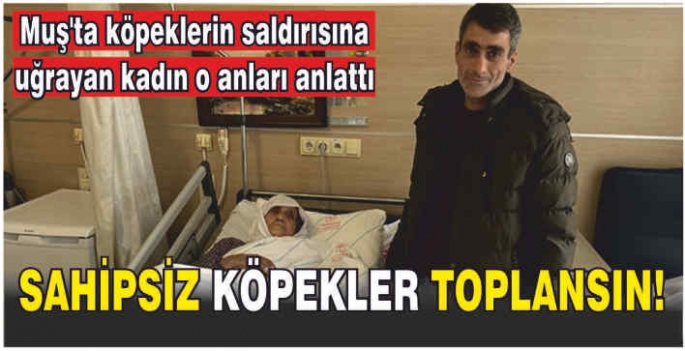 Muş'ta köpeklerin saldırısında yaralanan yaşlı kadın yaşadığı korku dolu anları anlattı: Sahipsiz köpekler toplansın!