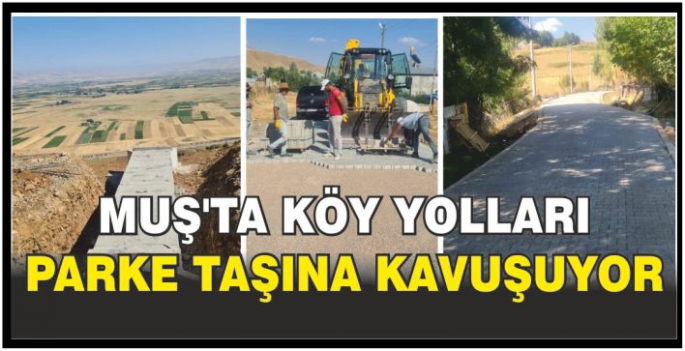 Muş’ta köy yolları parke taşına kavuşuyor