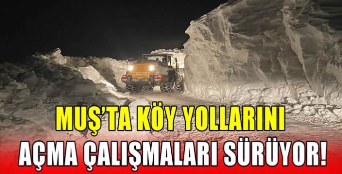 Muş’ta köy yollarını açma çalışmaları sürüyor!