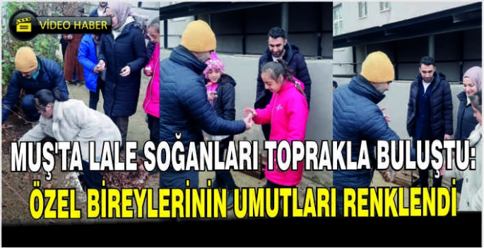 Muş’ta Lale soğanları toprakla buluştu: Özel bireylerin umutları çiçeklendi