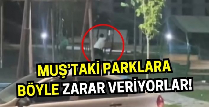 Muş’ta Lale Vadisi parkındaki kamelyalara böyle zarar verdiler!