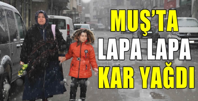 Muş'ta Lapa lapa kar yağdı…