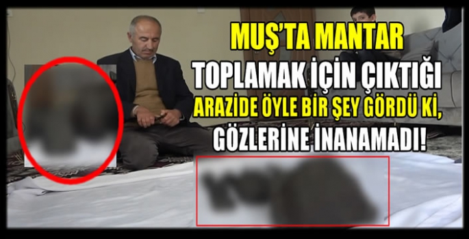 Muş’ta mantar toplamak için çıktığı arazide öyle bir şey gördü ki, gözlerine inanamadı!   