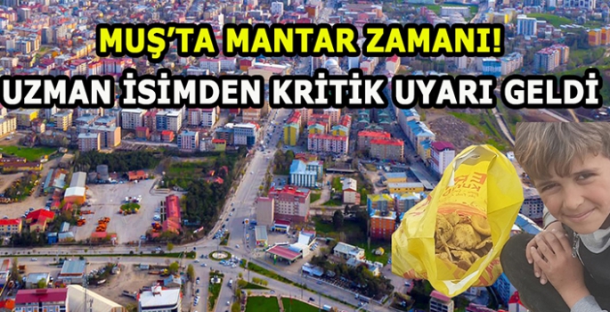 Muş’ta mantar zamanı başladı: Bilinçsiz mantar tüketimine dikkat!