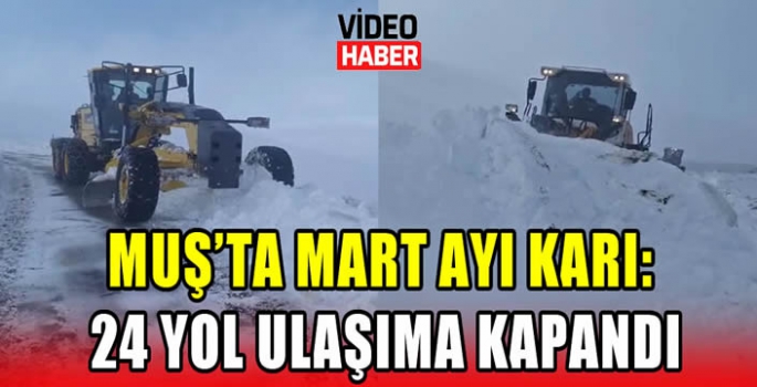 Muş’ta mart ayı karı: 24 yol ulaşıma kapandı