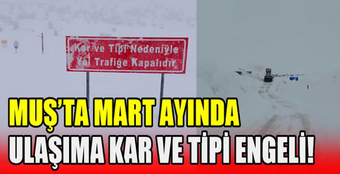 Muş’ta Mart ayında ulaşıma kar ve tipi engeli!